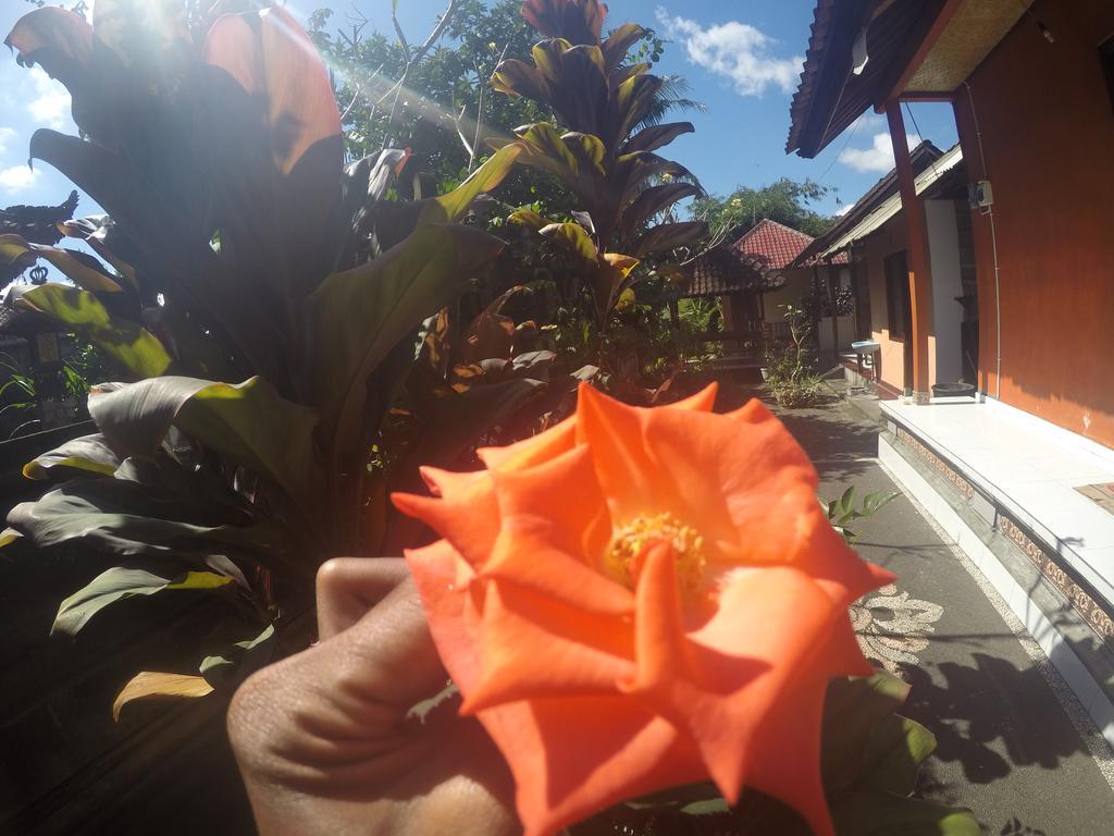 Dipa Home Stay Ubud Buitenkant foto