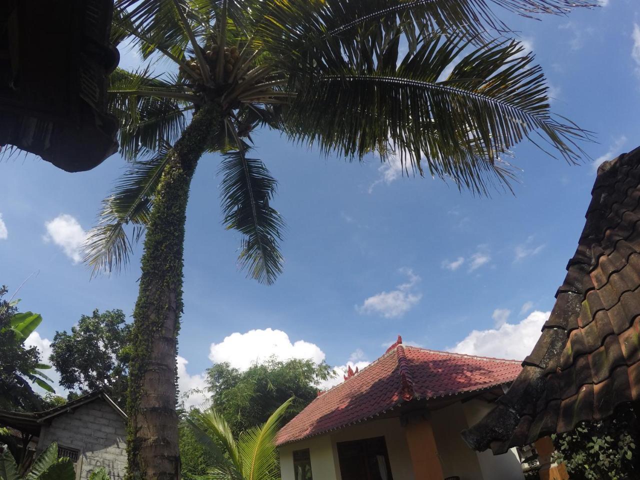 Dipa Home Stay Ubud Buitenkant foto